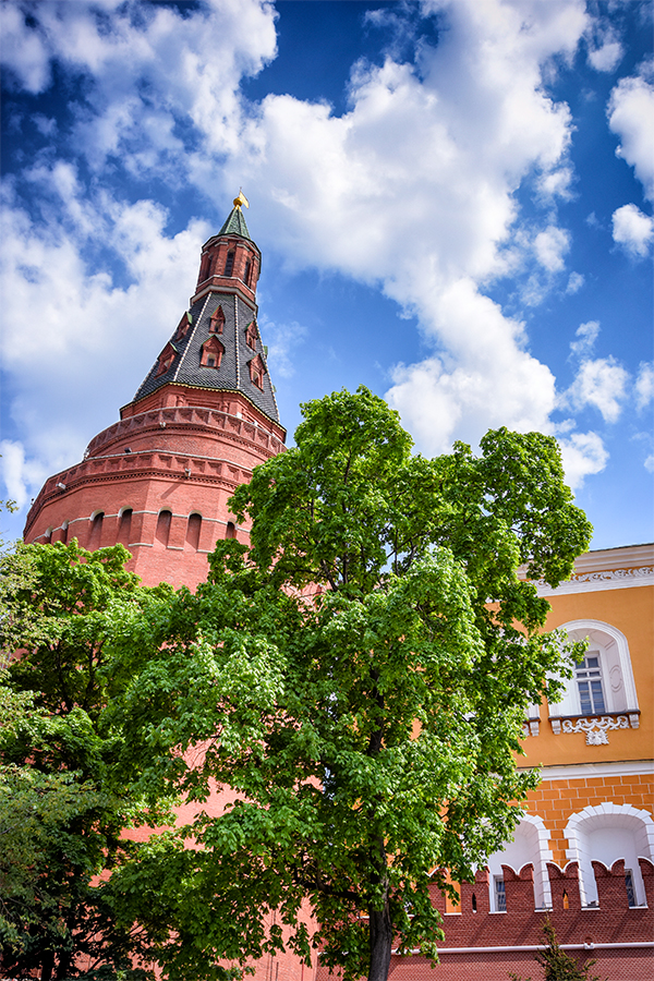 kremlin-tree